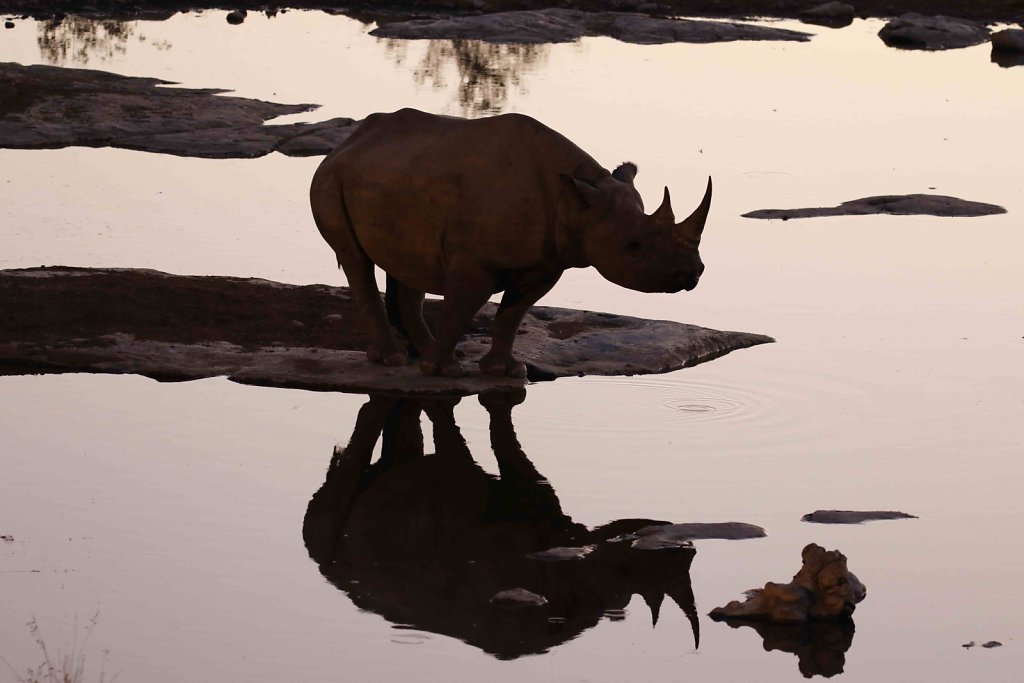 Namibia2175.jpg
