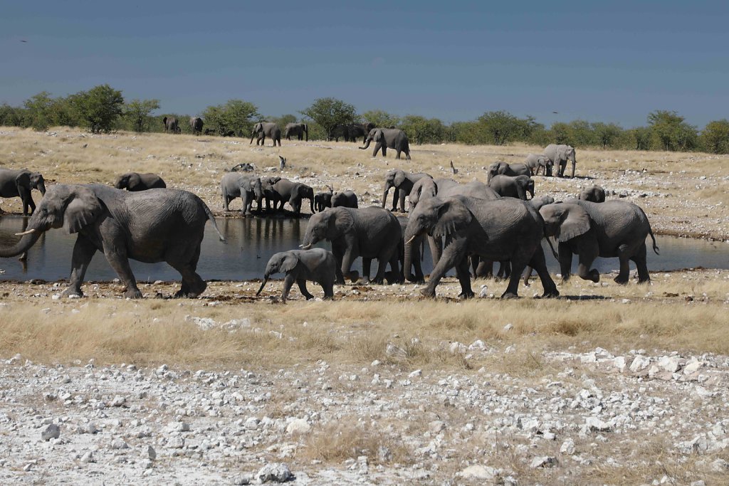 Namibia2268.jpg
