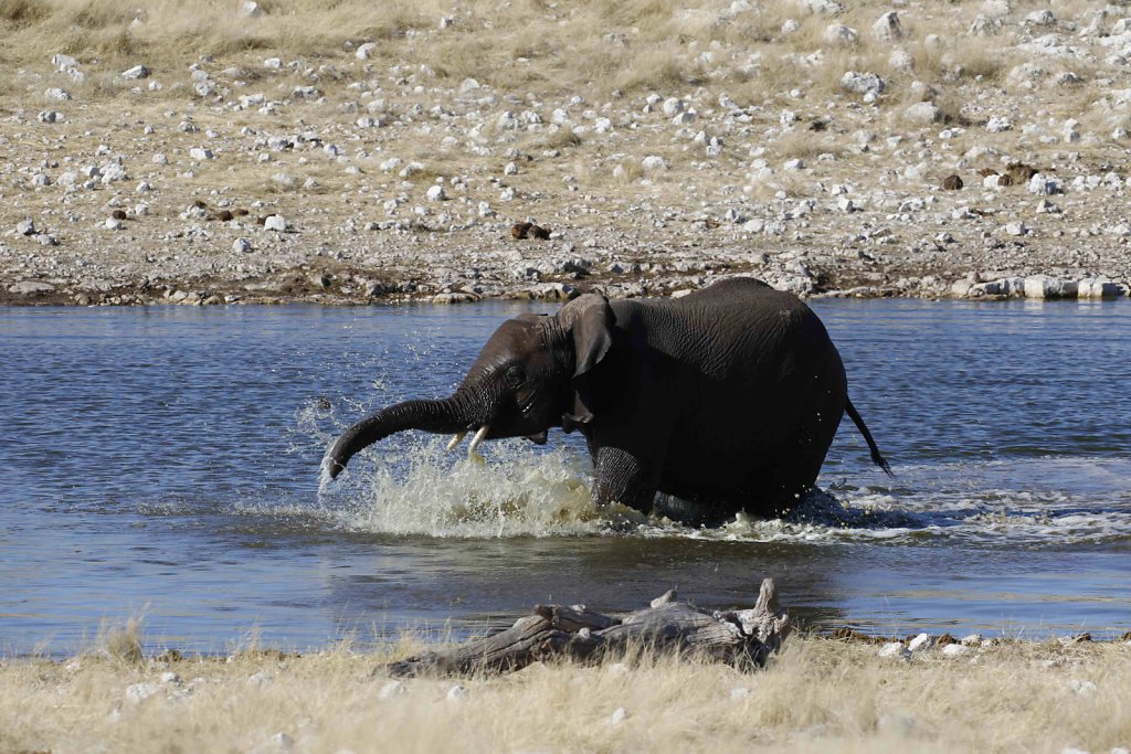 Namibia2367.jpg