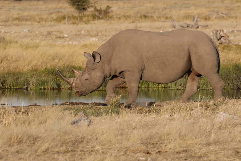 Namibia2444.jpg