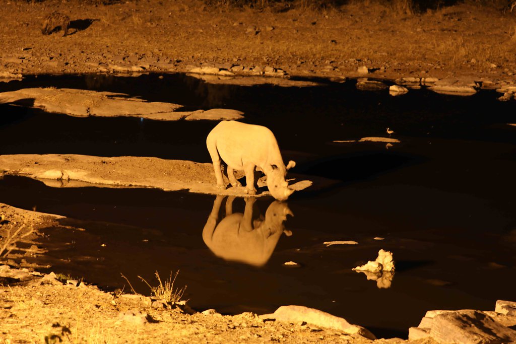 Namibia2475.jpg