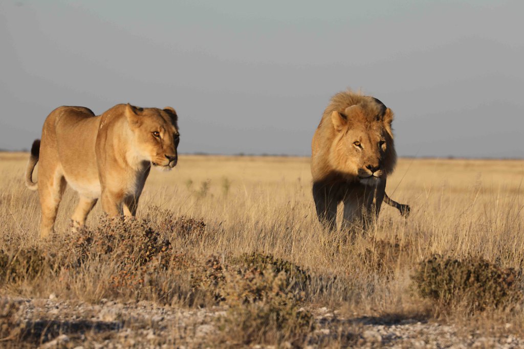 Namibia2486.jpg