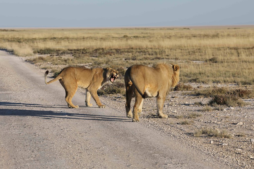 Namibia2503.jpg