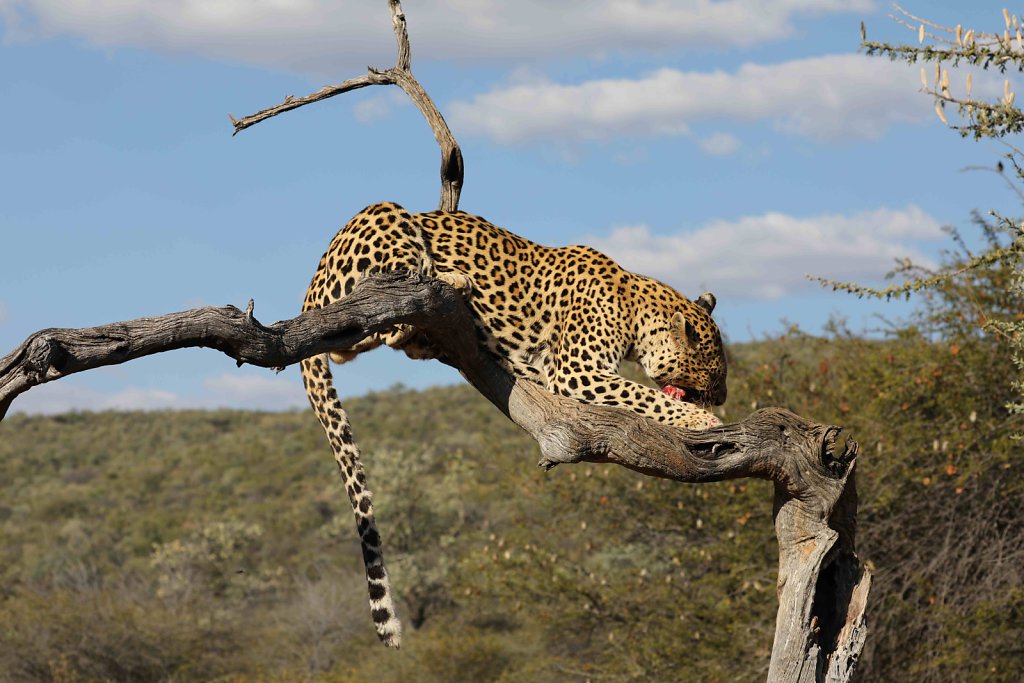 Namibia3118.jpg
