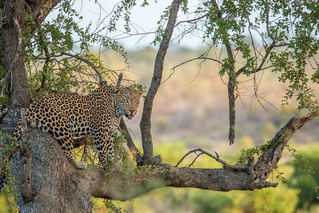 Namibia3339.jpg