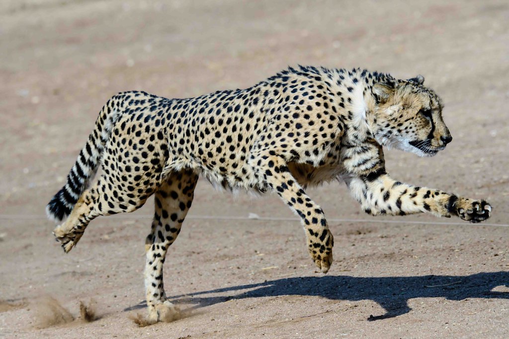 Namibia3357.jpg